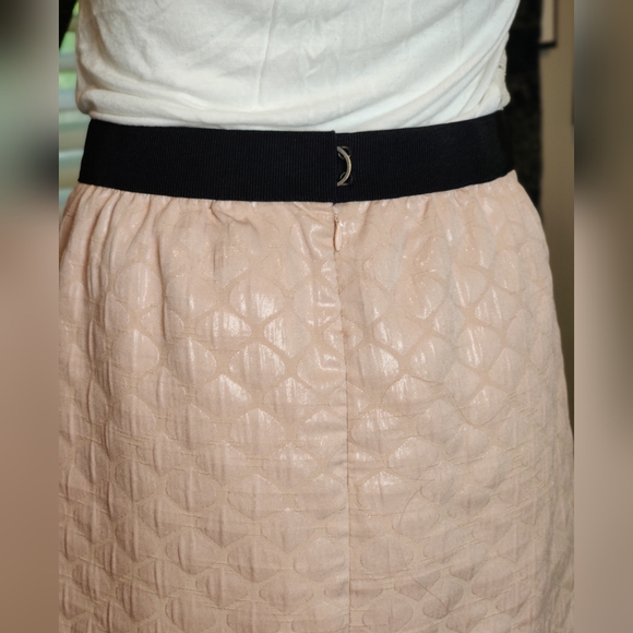 Ann Taylor Loft Pale Pink Embossed Skirt Size 6 - Picture 13 of 14